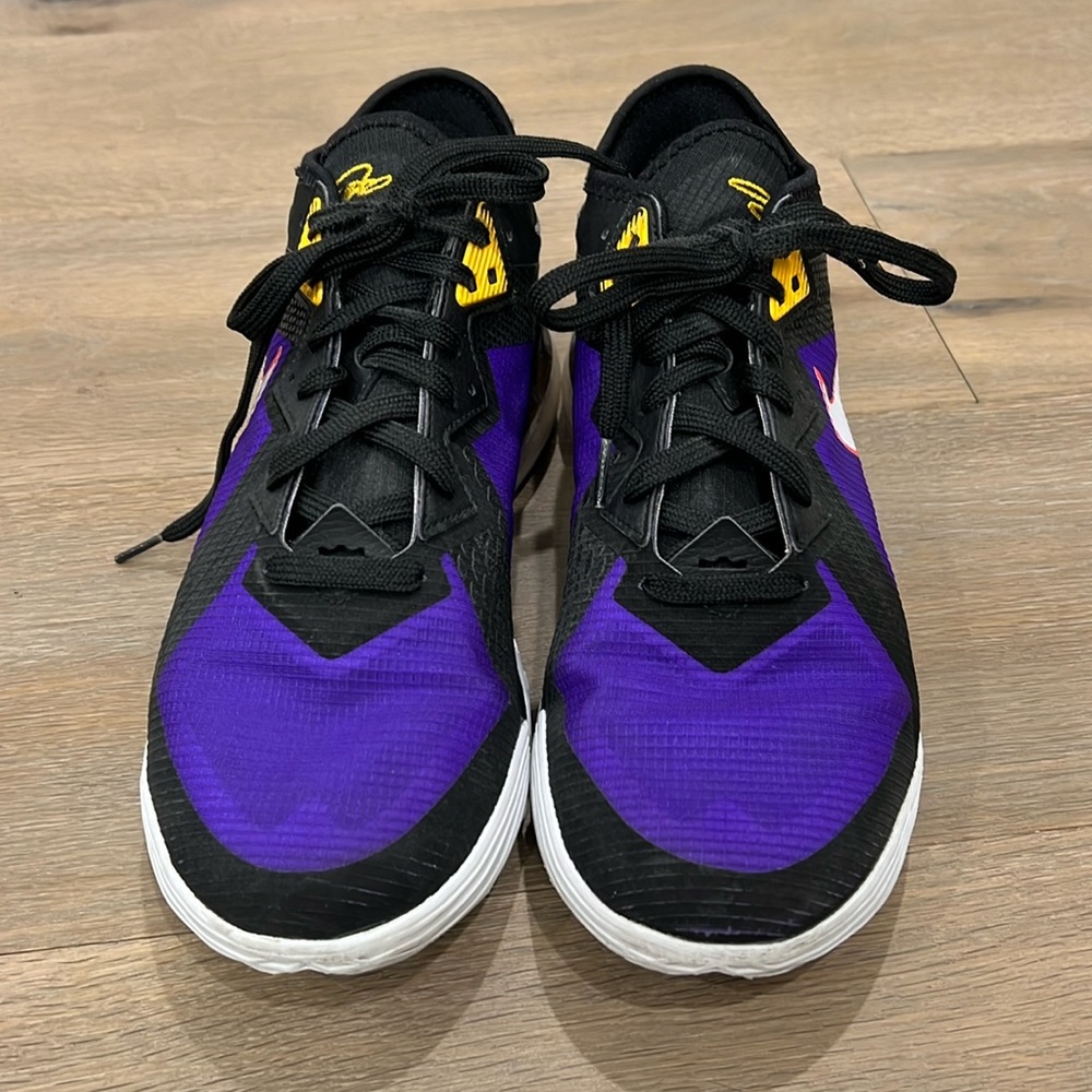 Laker purple Lebron 18 Low shows in great, good condition